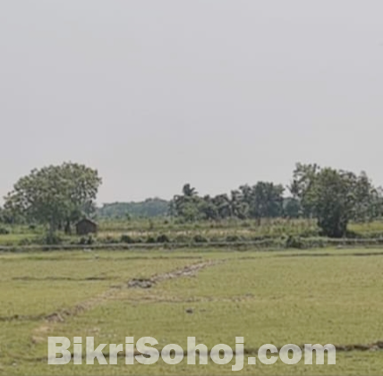ঘের বিক্রয়